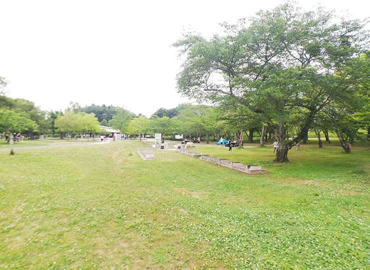 加瀬沼公園の新しい遊具で遊んできた デイキャンプやお花見も楽しめる公園 Tora Memoとらめも