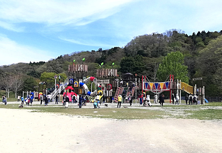 加瀬沼公園の新しい遊具で遊んできた デイキャンプやお花見も楽しめる公園 Tora Memoとらめも